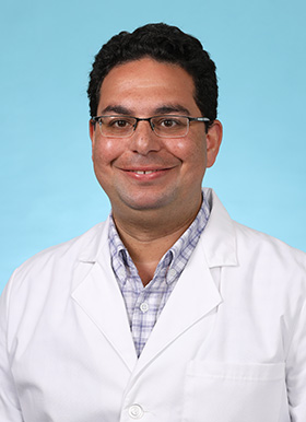 Ahmed Elgamal, MD, MSc, PhD