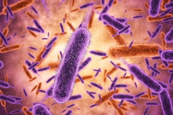 Microbiome instability linked to poor growth in kids